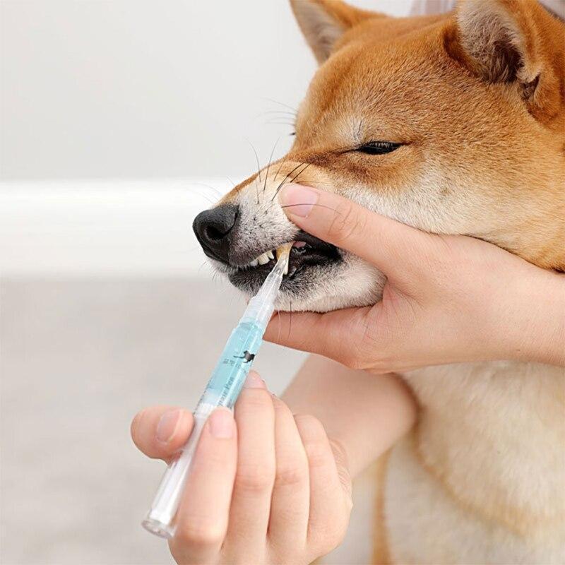 Caneta Limpadora de Dentes para Pets